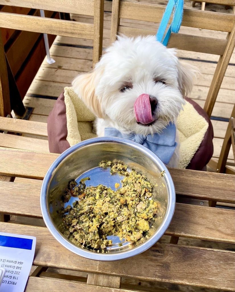 Dog chows down on gourmet food at Lobster Burger Bar