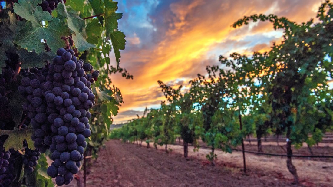 Napa Valley, DINE and Destinations, Wine Issue